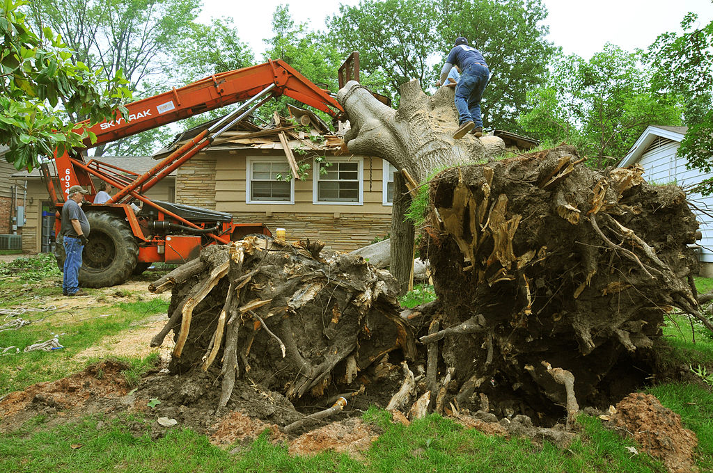 EVERYTHING YOU NEED TO KNOW ABOUT LAND CLEARING
