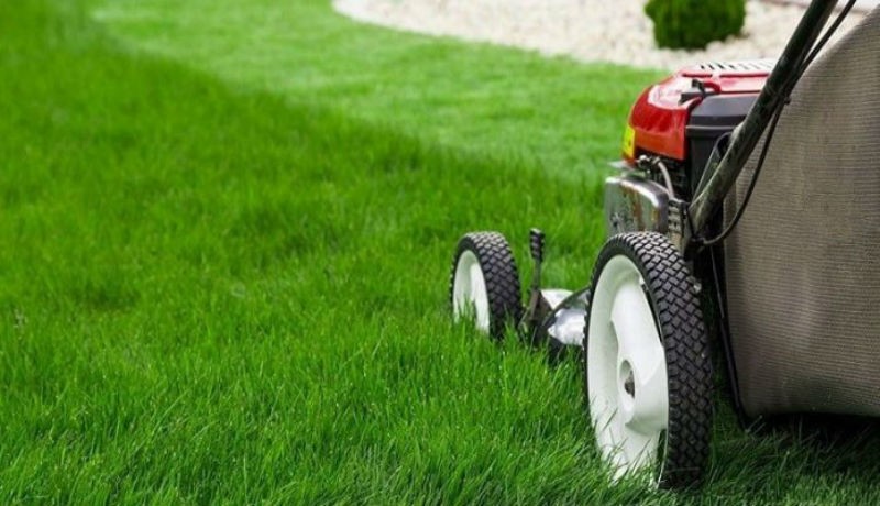 LAWN CARE TIPS FOR BEGINNERS