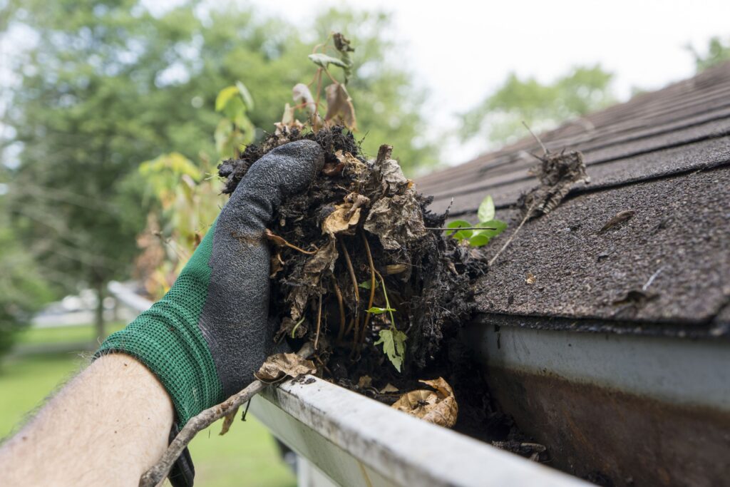 Gutter Cleaning Tips That Can Save Your Life
